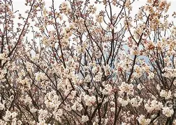 英雄联盟-冂opho冂几oc脚恋视频